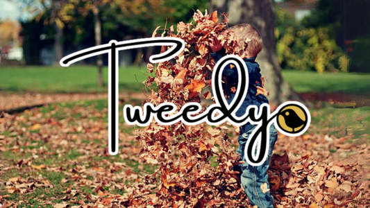 Tweedy Fam Adventure: Play Outside Day Extravaganza!