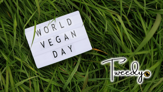 Ways to Celebrate with Tweedy on a happy World Vegan Day!