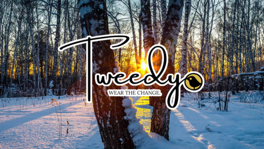 Welcoming Winter's Embrace: Celebrating the Winter Solstice with Tweedy!