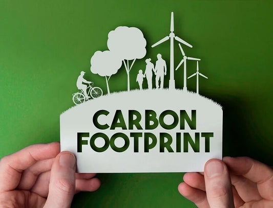 Simple Ways To Reduce Your Carbon Footprint