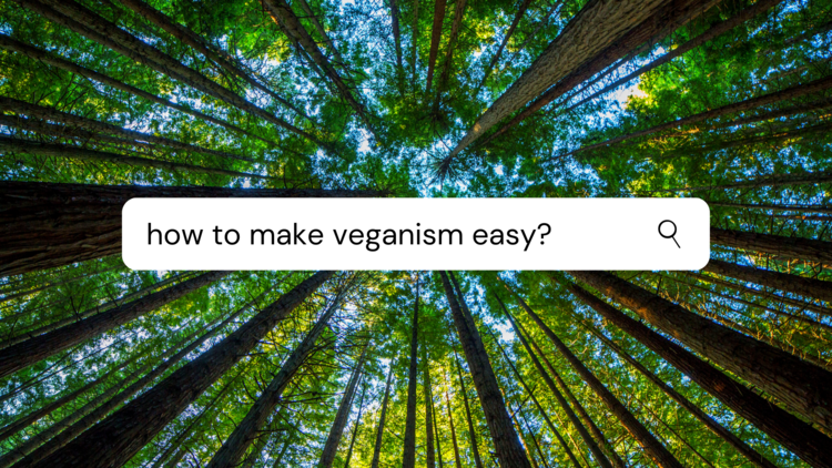 Vegan 101: All You Need To Know